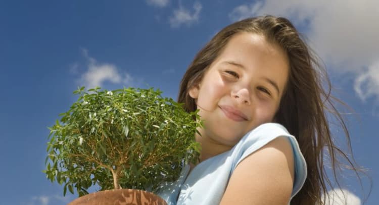 Plant For The Planet